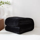Axyaa Winter Flannel Blanket - Extra Soft & Thickened Fleece Bedspread