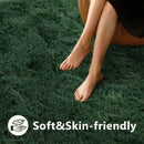 Axyaa Plush Green Area Rug for Modern Home Decor & Cozy Living Spaces