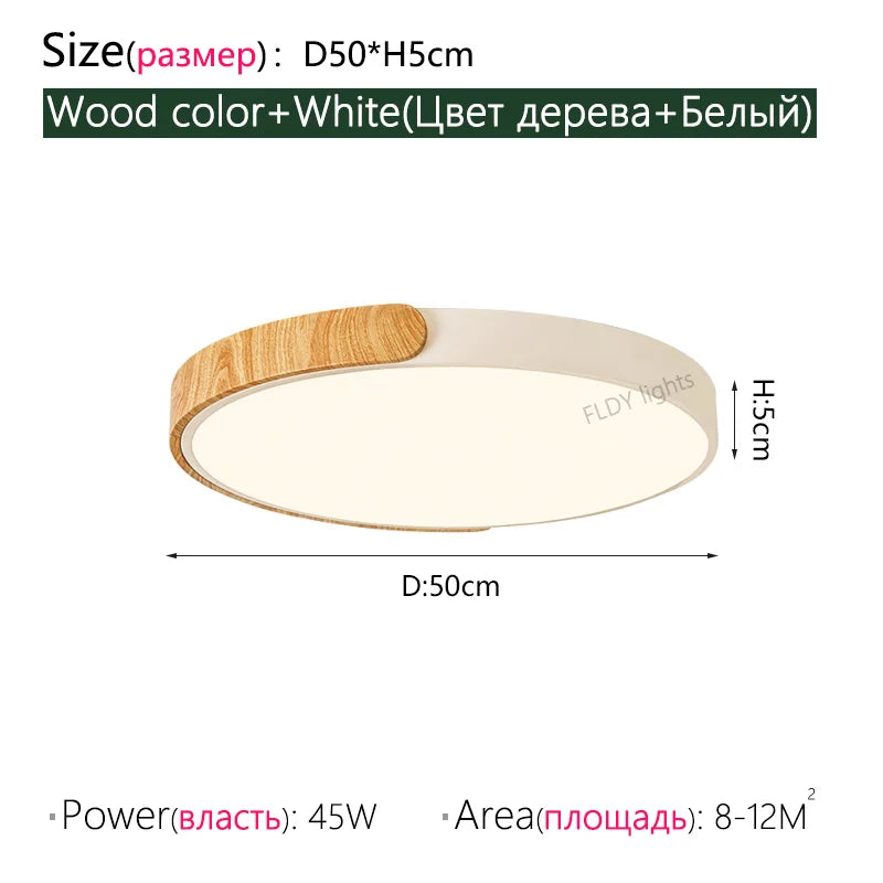 Axyaa Ultra-Thin Bedroom Ceiling Lamp, Modern Nordic Design, Full Spectrum Eye Protection