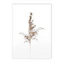 Nordic Reed Grass Landscape Canvas Wall Art Print for Living Room Decor by Axyaa