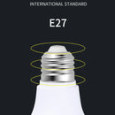 Axyaa LED Bulb Round Shape Super Bright Indoor Lighting 220V Light