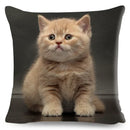 Cute Cat Print Fold Ear Pet Pillowcase for Cozy Home Decor by Axyaa