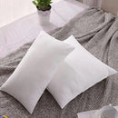 Axyaa Premium Fluffy Pillow Insert 30x50cm 35x55cm 45x45cm 50x50cm Decorative Square Rectangle