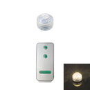 Axyaa Submersible LED Light Remote Pond Waterproof Pool Lamp for Vases Fish Tanks