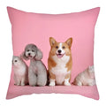 Axyaa Cat Dog Pet Polyester Pillow Cover Cushion Cover Home Sofa Decor 45x45cm