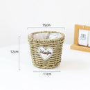 Axyaa Hand-woven Straw Flower Pots | Eco-Friendly Plant Fiber Baskets & Ornaments
