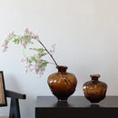 Axyaa Brown Wavy Transparent Glass Vase for Home Decoration & Hydroponics