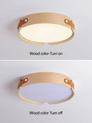 Axyaa Round Ceiling Lamp LED Modern Minimalist Nordic Living Room Light