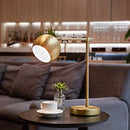 Axyaa Matte Brass Molly Desk Lamp with LED Bulb and On/Off Switch