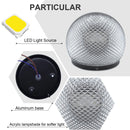 Axyaa LED Ball Wall Lights - Indoor Outdoor Decorative Wall Sconces