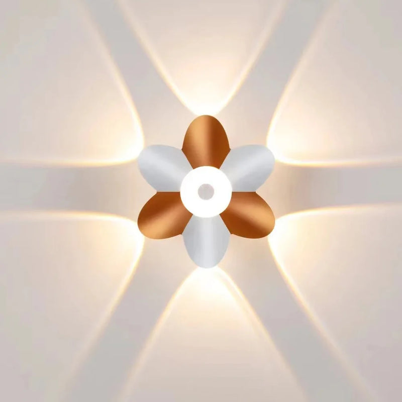 45496227987630|45496228020398