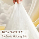 Axyaa Mulberry Silk Comforter Queen Size All Season Luxury Bedding