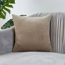 Axyaa Earth Album Series Velvet Cushion Cover - Living Room Sofa Decor Pillowcase