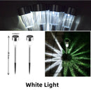 Axyaa Solar Pathway Light: Waterproof Outdoor Garden Lantern for Lawn, Patio, Walkway