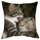 Axyaa Cat Design Sofa Cushion Cover 45x45cm