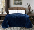 Axyaa 9 Lbs Korean Style Faux Mink Blanket, Silky Soft Plush Raschel Mink - 85 inches