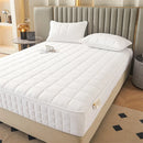 Axyaa Zippered Quilted Mattress Protector – Custom Size, Anti-Mite, Full Enclosed