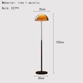 Axyaa Dark Brown Acrylic Floor Lamp for Elegant Living Spaces