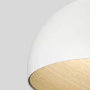 Axyaa Designer LED Ceiling Chandelier for Living Room Bedroom Kitchen Lighting