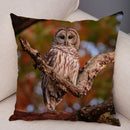 Axyaa Wild Owl Cushion Cover: Decorative Sofa Pillowcase for Home and Children's Room