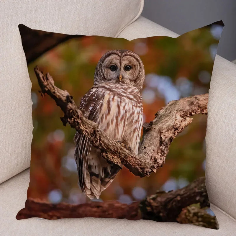 Axyaa Wild Owl Cushion Cover: Decorative Sofa Pillowcase for Home and Children's Room