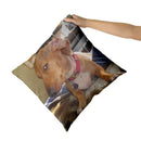Axyaa Dachshund Dog Square Throw Pillow Cover 45cm x 45cm