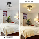 Axyaa Crystal E27 Pendant Light for Living Room, Dining Room, Bedroom - Modern Luxury Chandelier