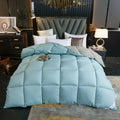 Axyaa Winter Goose Down Duvet Comforter for Single/Double Bed