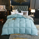 Axyaa Winter Goose Down Duvet Comforter for Single/Double Bed