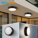 Axyaa Waterproof LED Ceiling Lamp, Outdoor Ceiling Light, Oval/Round Wall Sconce