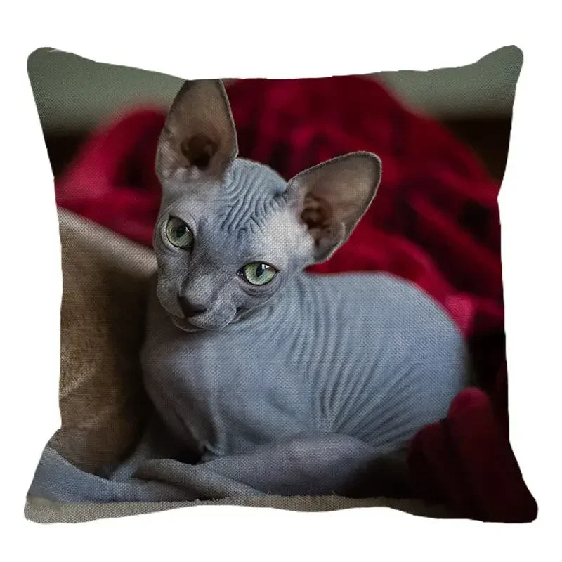 Cute Axyaa Sphinx Cat Cushion Cover 45X45cm - Home Sofa Decoration Pillowcase