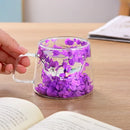 Axyaa Double Layer Glass Coffee Cup with Handle - 200ML Dried Flower Insulated Teacup