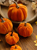 Axyaa Velvet Pumpkin Decoration Set for Fall Home Decor & Gifts