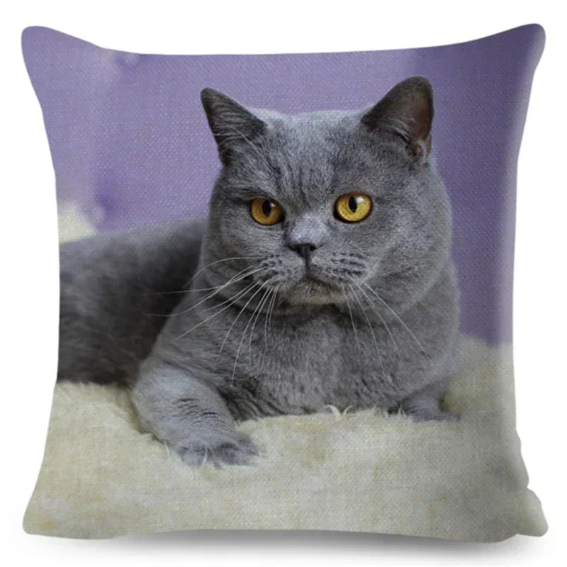 Axyaa Fold Ear Cat Pillow Covers - Set of 2 Cute Pet Pillowcases