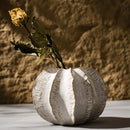 Axyaa White Ceramic Vase: Nordic Minimalist Home Decor for Living Room, Dining Table & Dry Flowers