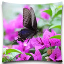 Axyaa Spider Butterfly Print Pillow Case for Home Decor
