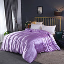 Axyaa Mulberry Silk Duvet Cover Queen Skin Beauty Comforter Cover Bed Blanket