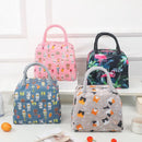 Axyaa Cartoon Lunch Bag: Insulated Portable Bento Box Tote for Kids, Picnics, School