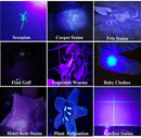Axya 395nm UV Flashlight with 100 LEDs for Pet Urine Detection