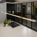 Axyaa Minimalist LED Pendant Light for Modern Living Room & Bar Counter