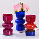 Axyaa Nordic Retro Glass Vase for Hydroponic Plants and DIY Flower Arrangements