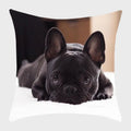 Axyaa French Bulldog Polyester Cushion Cover - Modern Sofa Throw Pillow Cover