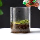 Axyaa Glass Bottle Dew Collection Micro Landscape Glass Vase Terrarium Home Decor