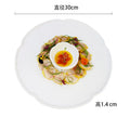 Axyaa White Ceramic Dinner Plate Set for Restaurants: Main Dish, Steak, Sushi & More