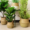 Axyaa Seagrass Rattan Basket: Toy & Flowerpot Organizer, Hanging Storage Bin