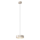 Axyaa Nordic Indoor LED Pendant Light, Modern Ceiling Mounted Lamp for Home, Dining, Bedroom