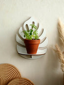 Axyaa White Leaf Wall Shelf: Stylish Home Decor & Plant Display Stand