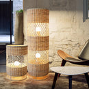 Axyaa Iron Rattan Floor Lamp: Modern Nordic Style LED Lights