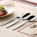 Axyaa Long Handle Stainless Steel Pointed Spoon for Home and Hotel Tableware