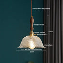 Axyaa Modern Copper Glass LED Pendant Lamp with Wood Handle